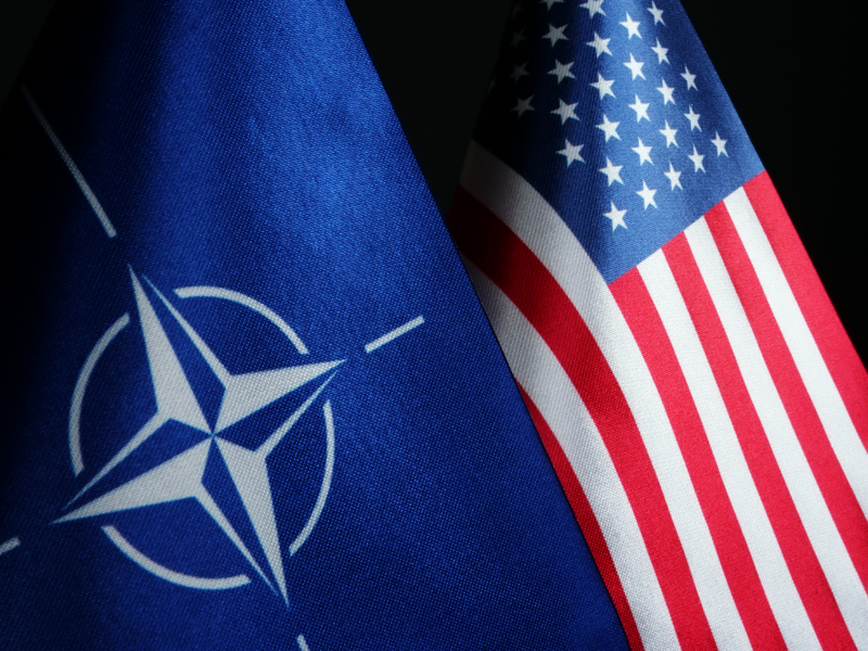 Mỹ phải chấm dứt cuộc xung đột Ukraine bằng cách... rút khỏi NATO ảnh 1