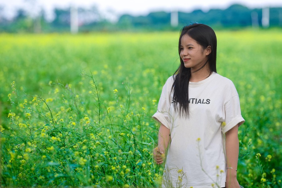 Ngắm cánh đồng hoa cải vàng tuyệt đẹp bên sông ngoại thành Hà Nội ảnh 16