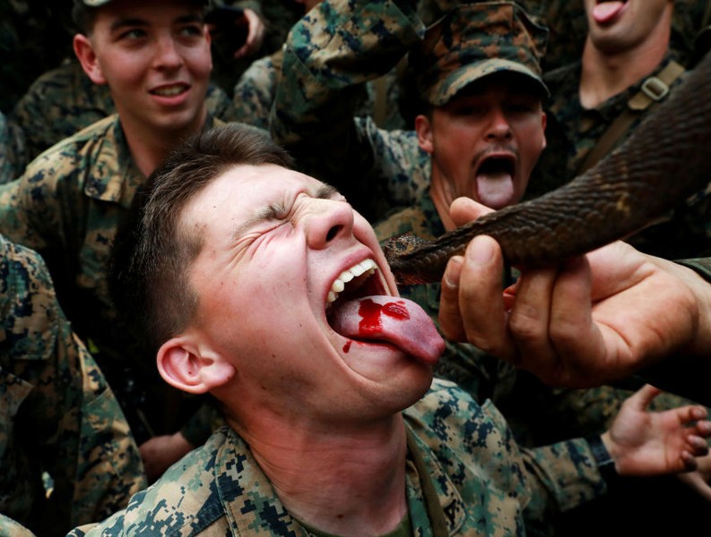 [Ảnh] Hãi hùng nhìn lính Mỹ ăn bọ cạp, uống máu rắn trong tập trận Hổ mang Vàng