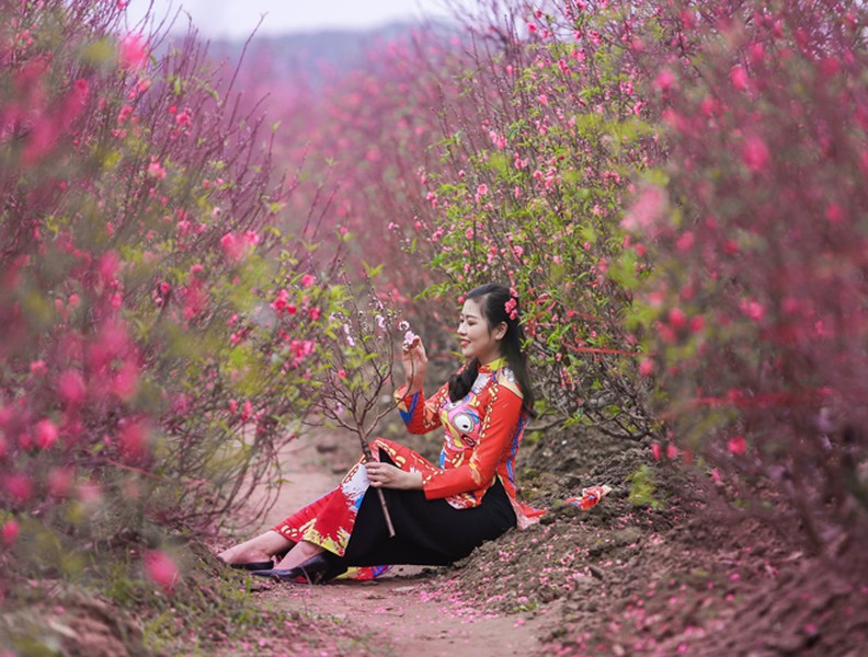 Khoảnh khắc đẹp của mẹ và con bên vườn đào Nhật Tân