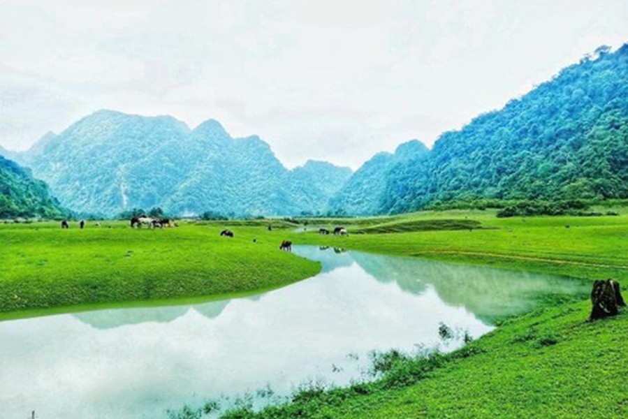 Ở Lạng Sơn có một thảo nguyên hoang sơ