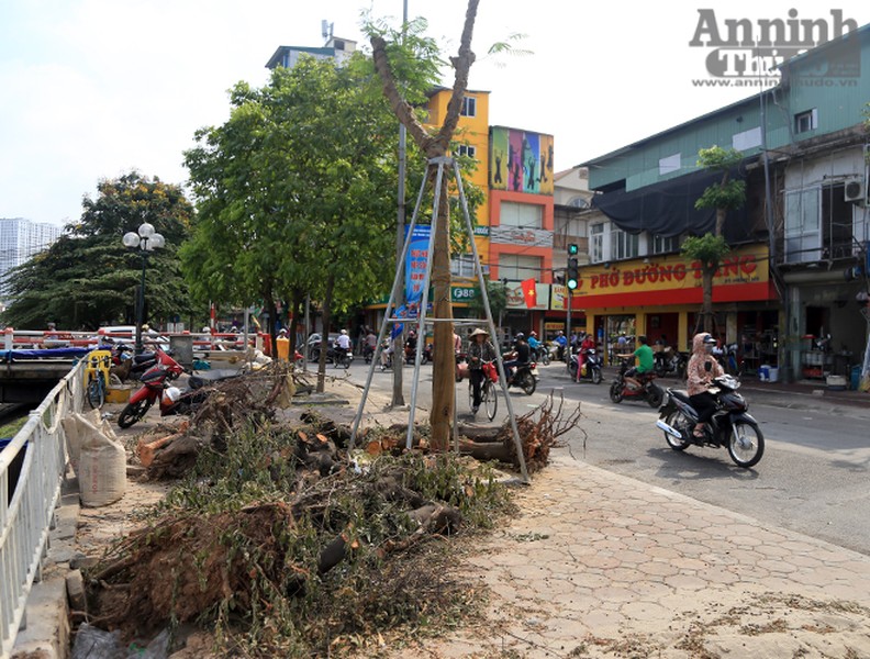 Hà Nội: Nắng nóng, rác thải sinh hoạt đổ đống bốc mùi trên đường Vũ Tông Phan 