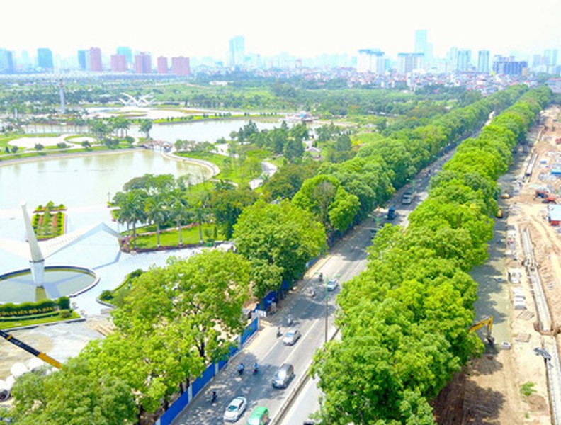 Vẻ đẹp hút hồn của những hàng cây xanh rợp bóng bên đường Hà Nội