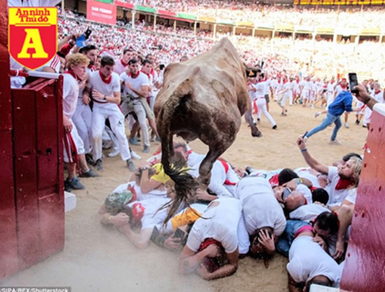 Hình ảnh khiếp vía về lễ hội đua bò tót ở Tây Ban Nha