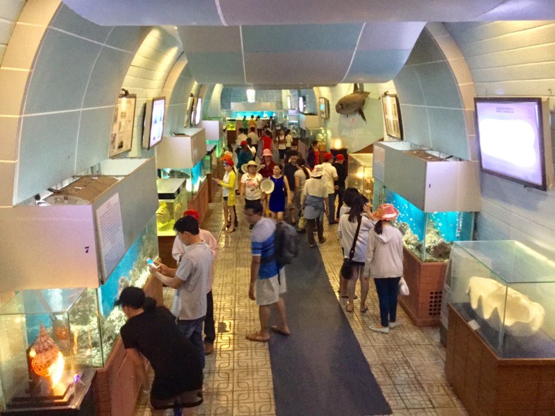 Bảo tàng Hải dương học - nơi khám phá đại dương và giáo dục về tài nguyên, chủ quyền biển đảo