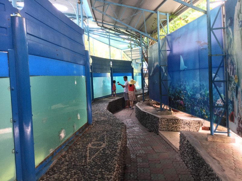 Bảo tàng Hải dương học - nơi khám phá đại dương và giáo dục về tài nguyên, chủ quyền biển đảo