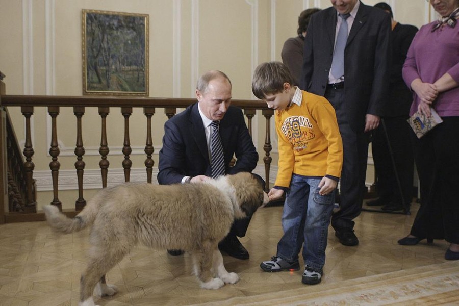 [ẢNH] Thú cưng, quà sinh nhật đặc biệt của Tổng thống Nga Vladimir Putin