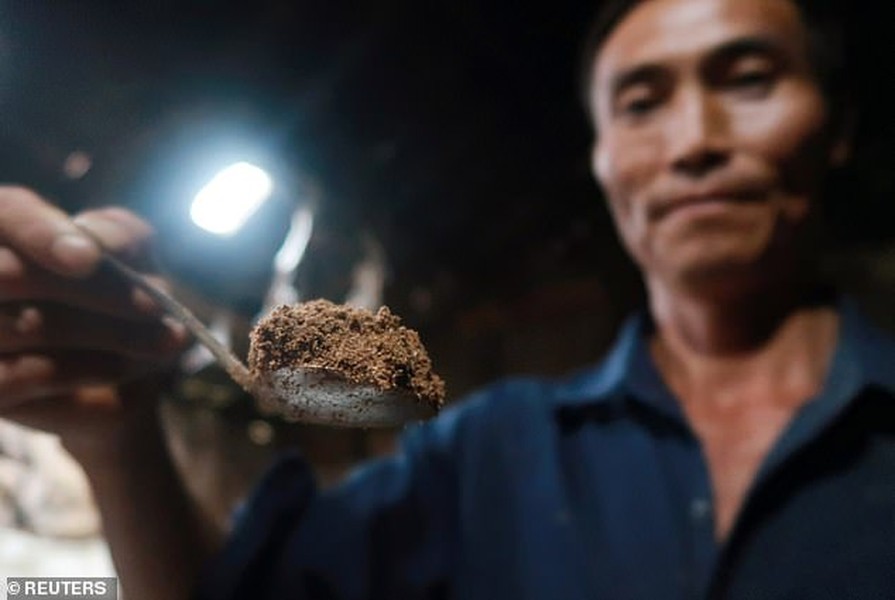 Mục sở thị các trại nuôi hàng tỷ con gián bằng thức ăn thừa ở Trung Quốc