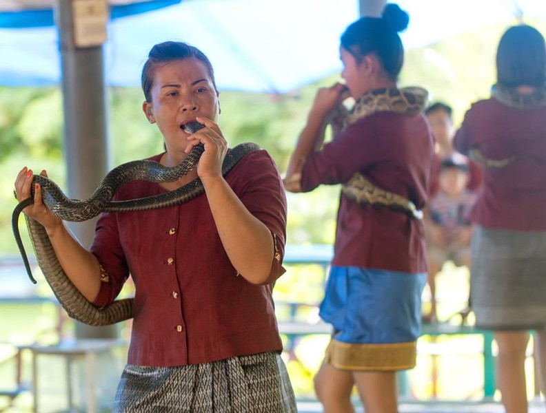 [ẢNH] Kỳ lạ ngôi làng Thái Lan, nơi người và rắn hổ mang là 