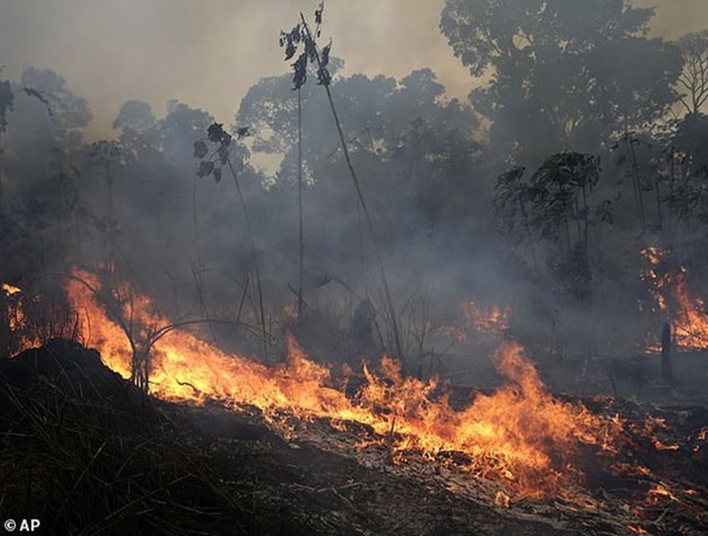 Cháy rừng Amazon: Bầu trời Brazil chìm trong khói tro, 3h chiều tối đen như giữa đêm