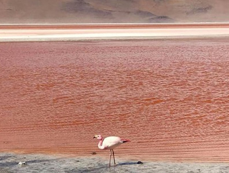 [ẢNH] Chiêm ngưỡng vẻ đẹp của những hồ nước kỳ lạ nhất thế giới