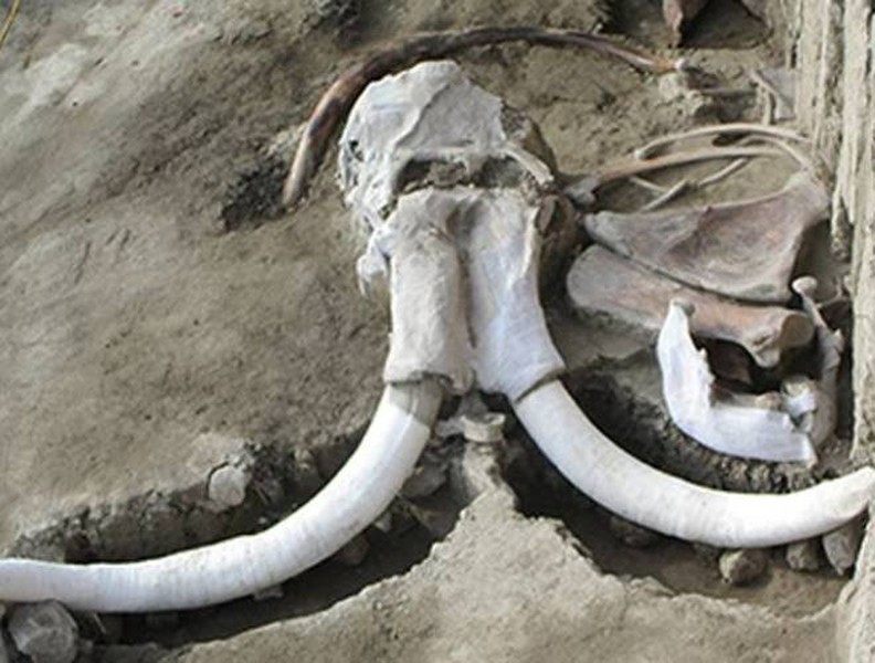 Phát hiện gây sốc về hố bẫy voi ma mút đầu tiên trong lịch sử loài người