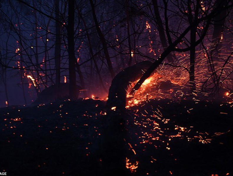[ẢNH] Hãi hùng cảnh cháy rừng dữ dội 