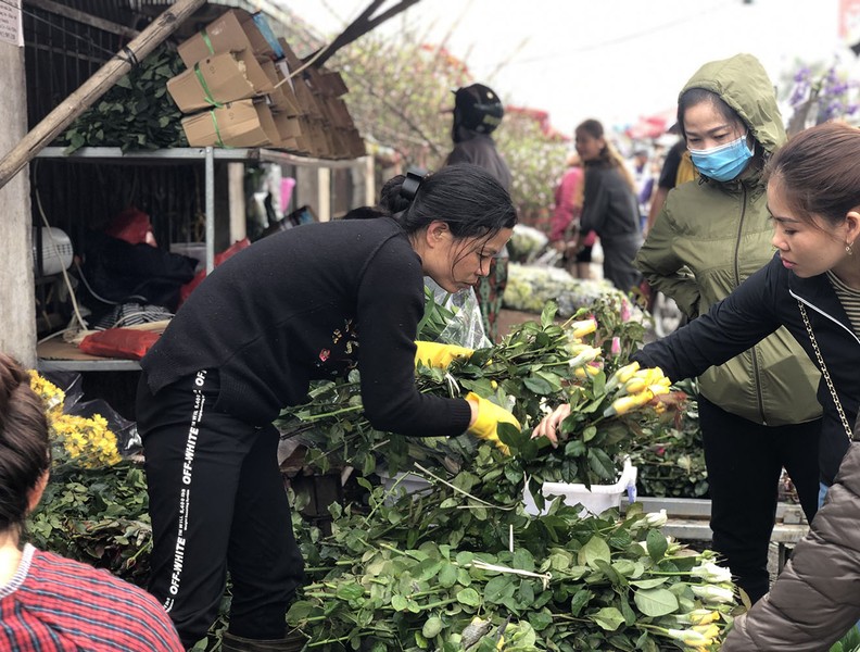 [ẢNH] Nhộn nhịp chợ hoa Quảng An ngày cuối năm trong mưa lạnh