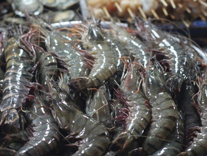 [ẢNH] Những lưu ý khi chế biến hải sản tránh gây ngộ độc