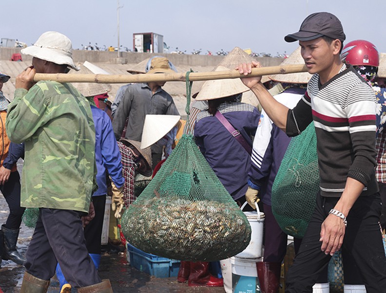 [Ảnh] Lao xao chợ cá một vùng quê miền biển