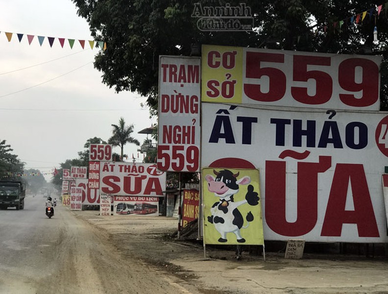 Đây có phải là 'con đường sữa' to-dài nhất Việt Nam?