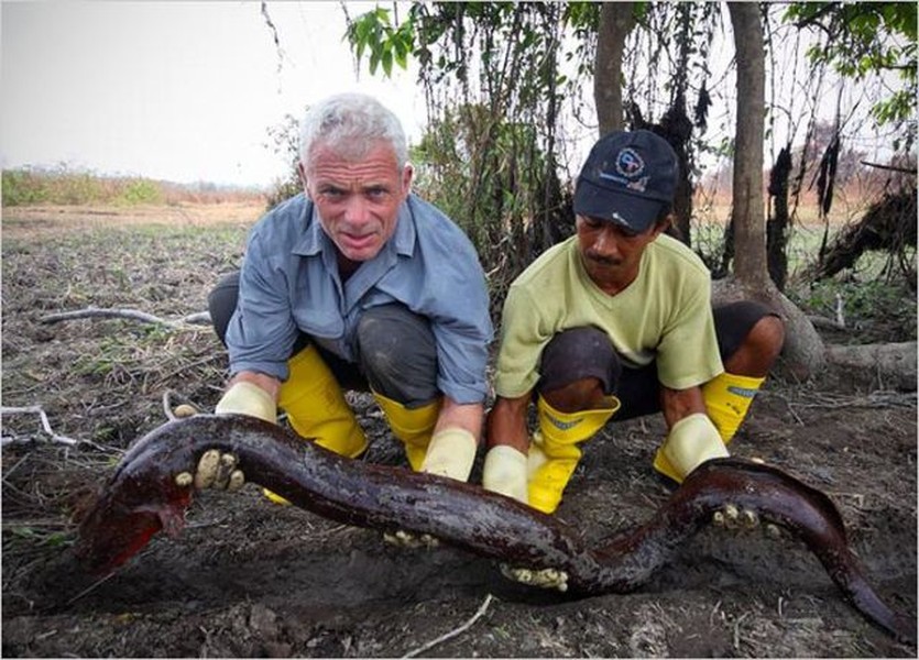Không ngờ dân Hà Nội dám nuôi loài thủy quái Amazon này trong nhà