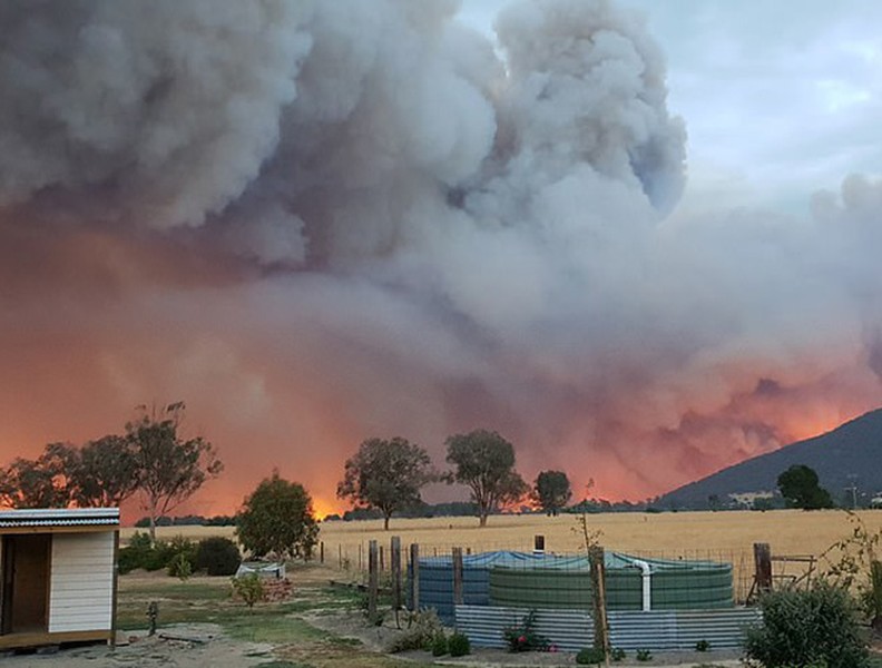 Hơn 4.000 người Australia mắc kẹt vì cháy rừng, được lệnh nhảy xuống biển nếu có báo động