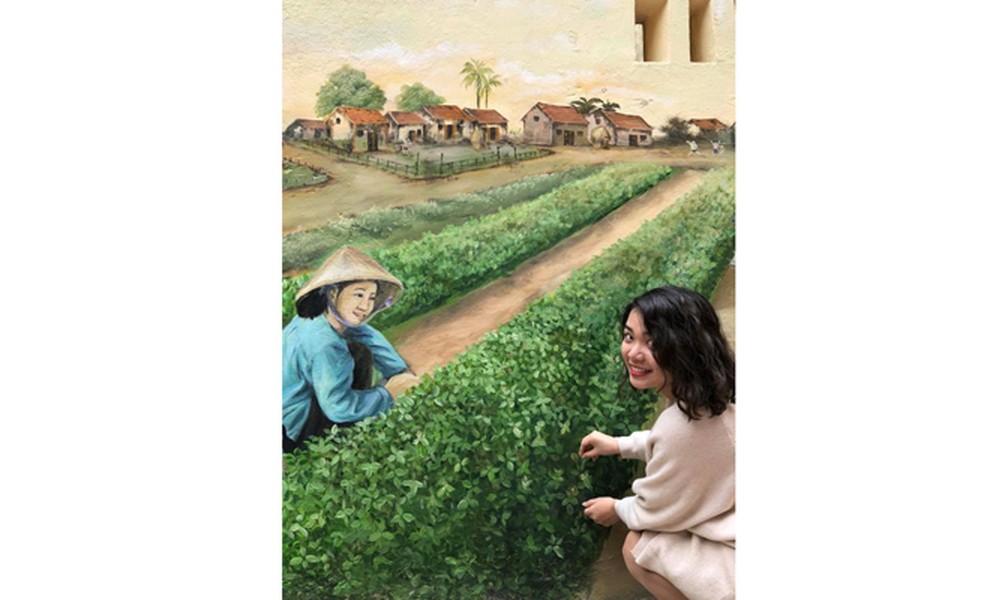 Khu tập thể cũ Hà Nội bất ngờ 'biến thành' làng trồng húng Láng nức tiếng một thời