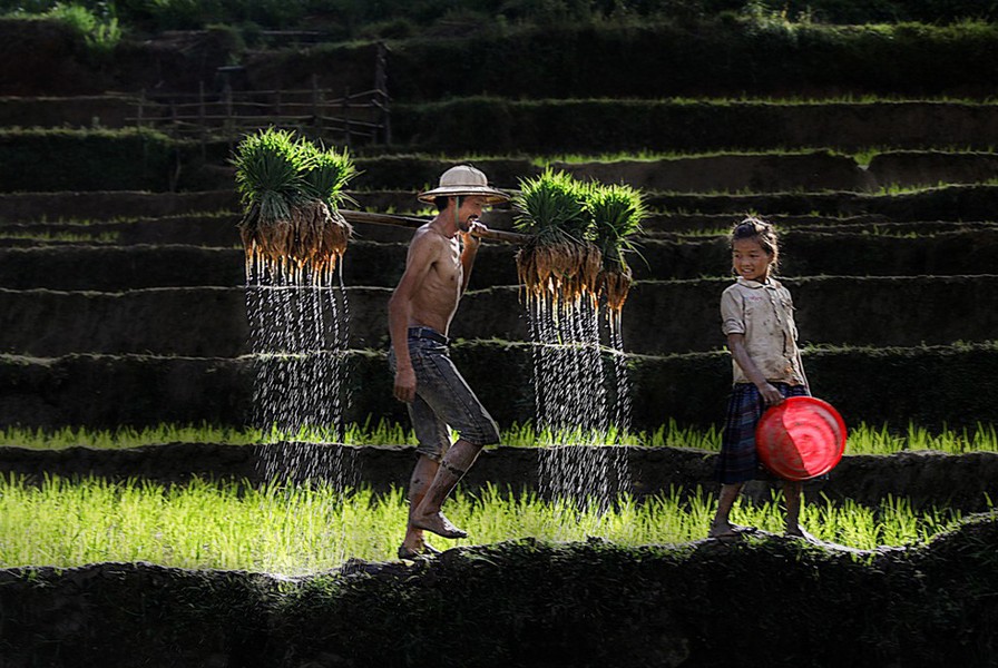[ẢNh] 107 bức ảnh di sản Việt Nam xuất sắc nhất chia sẻ những khoảnh khắc 