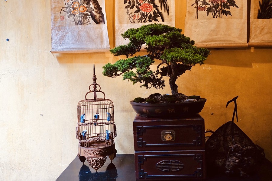 [Ảnh] Đưa thiên nhiên thu nhỏ vào các tác phẩm nghệ thuật Bonsai Phố cổ