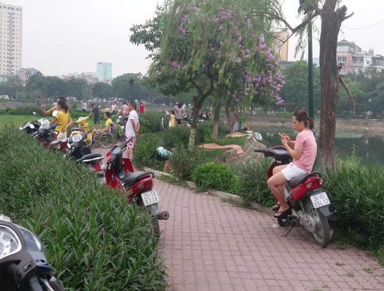 Hà Nội: Ô nhiễm khủng khiếp ở công viên hồ Đền Lừ