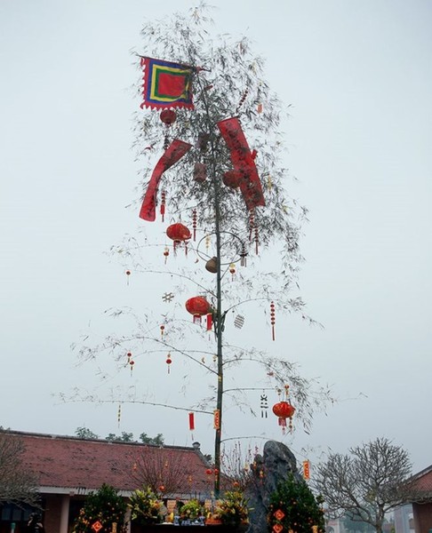 Ý nghĩa dựng cây nêu trong ngày Tết của người Việt