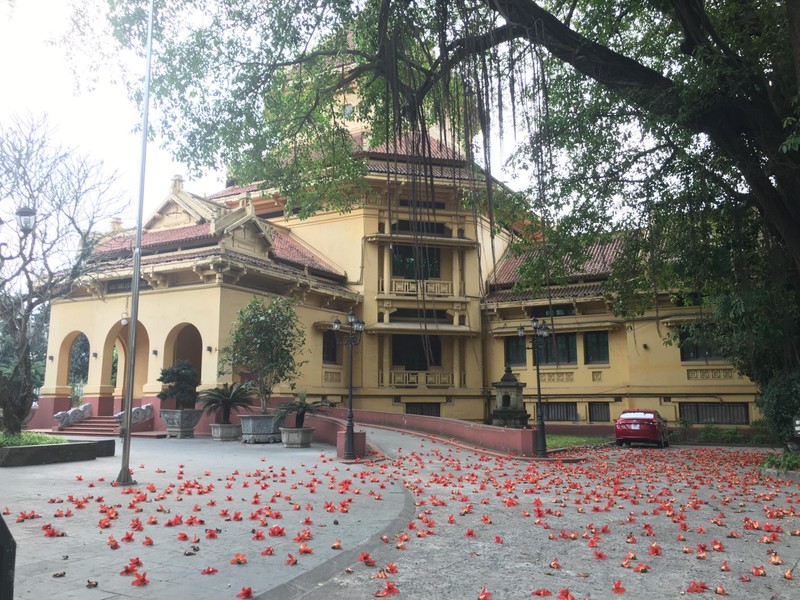 Bảo tàng Lịch sử quốc gia Việt Nam mở tour “Bác Cổ - Mùa hoa gạo”