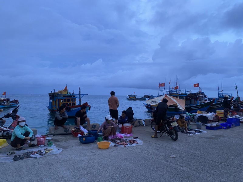 Sắc màu chợ cá lúc sáng sớm trên đảo Lý Sơn