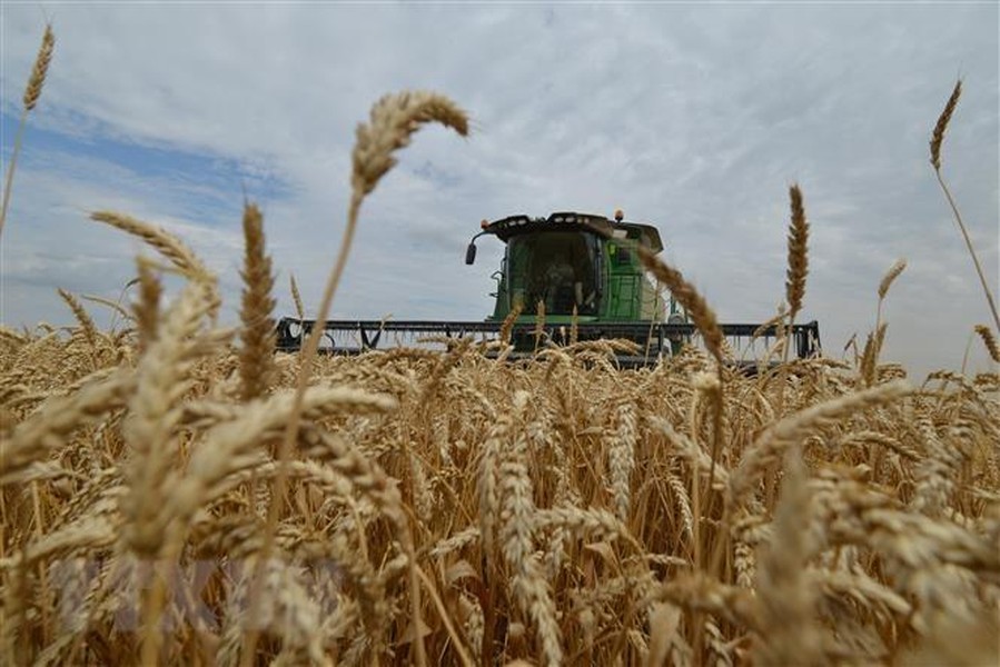 Phương Tây đối diện 'thực tế phũ phàng' khi Nga rút khỏi thỏa thuận ngũ cốc
