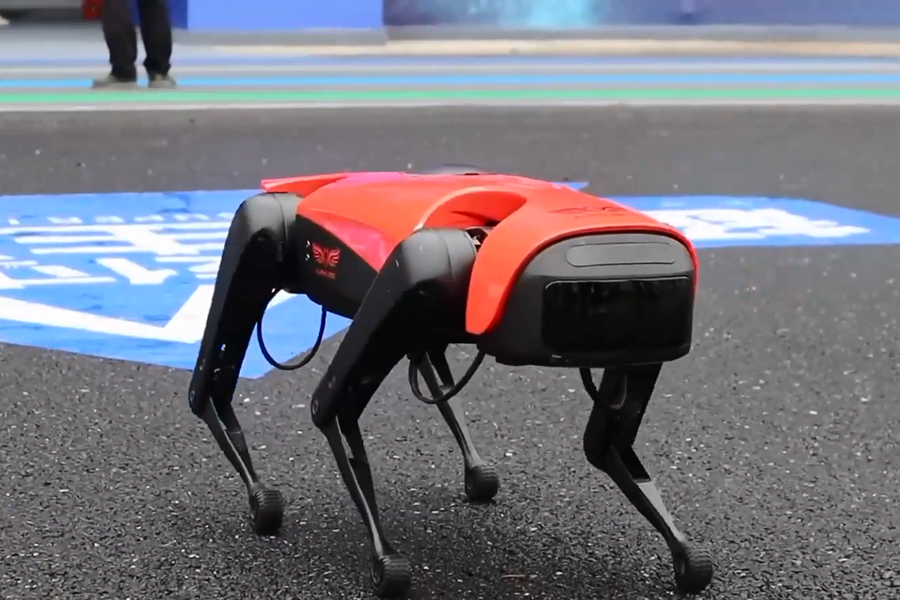 [ẢNH] Những robot động vật giúp cuộc sống của bạn trở nên dễ dàng hơn