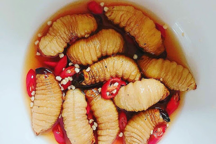 [ẢNH] Những loại đặc sản 'nhìn thì ghê ăn thì mê' ở Việt Nam