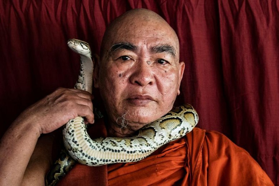 [ẢNH] Nỗ lực bảo tồn sự sống cho loài rắn của một nhà sư Myanmar