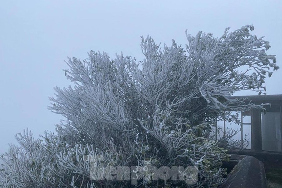 [ẢNH] Ngắm khung cảnh lần đầu tiên băng tuyết phủ trắng đỉnh Mẫu Sơn trong năm 2021