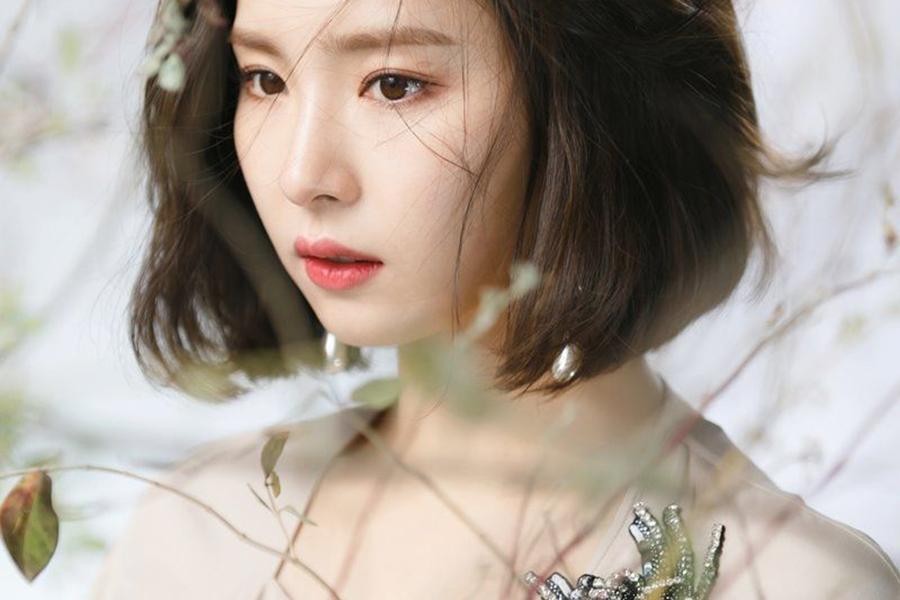 [ẢNH] Những ‘bình hoa di động’ của showbiz Hàn Quốc 