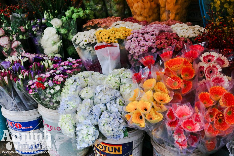 Sắc Tết rực rỡ tại chợ hoa đầu mối lớn nhất Hà thành