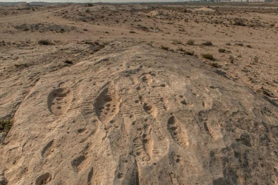 Kỳ bí những bức tranh khắc trên đá ở sa mạc Qatar