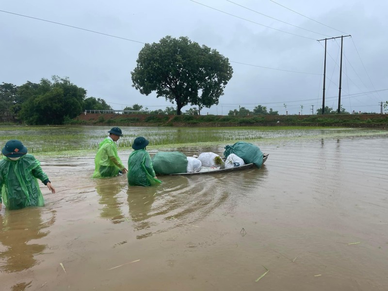 Chiến sỹ Công an Hà Nội ngâm nước giúp người dân cứu lúa