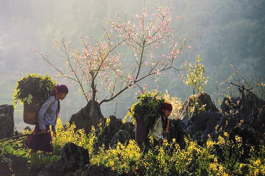 Di sản văn hóa Việt Nam tuyệt đẹp qua những bức ảnh 