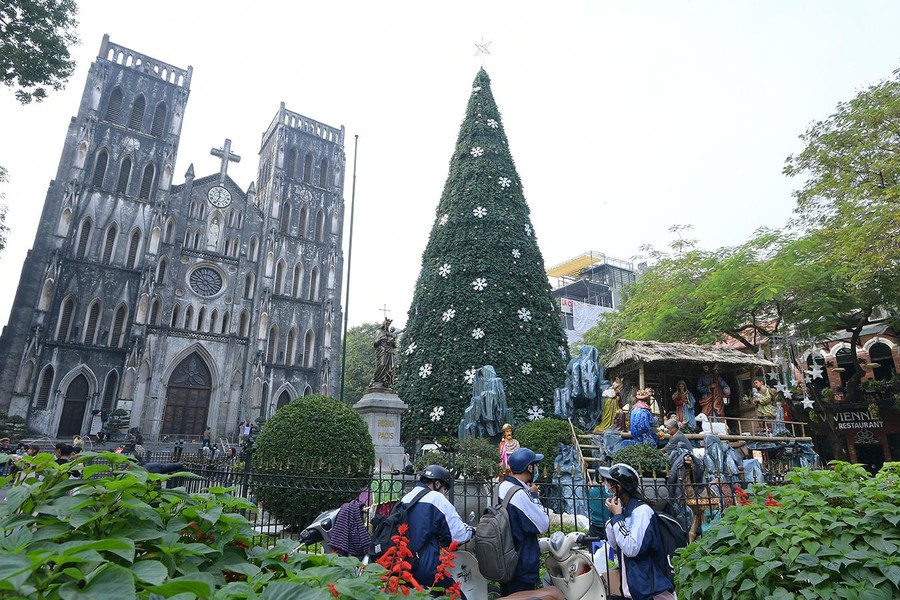 Giới trẻ thích thú check-in với những cây thông khổng lồ ở Hà Nội 