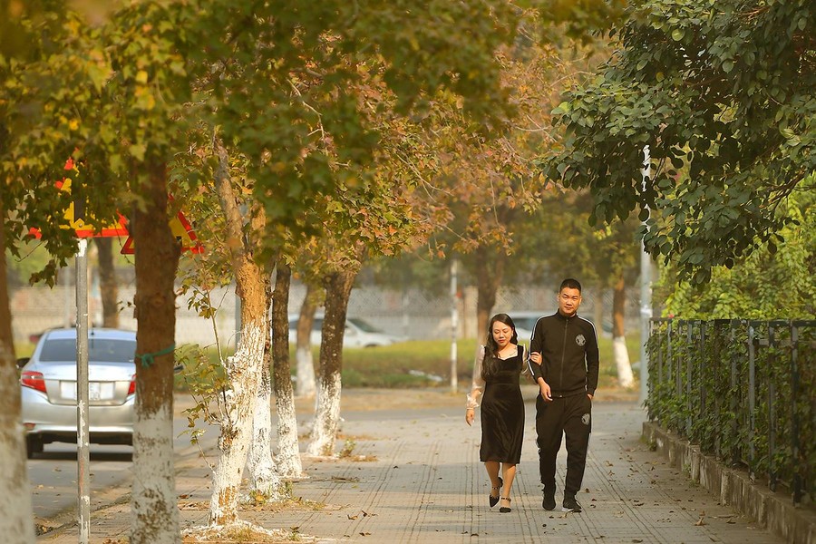 Check in con đường đẹp như phim Hàn ở Hà Nội 