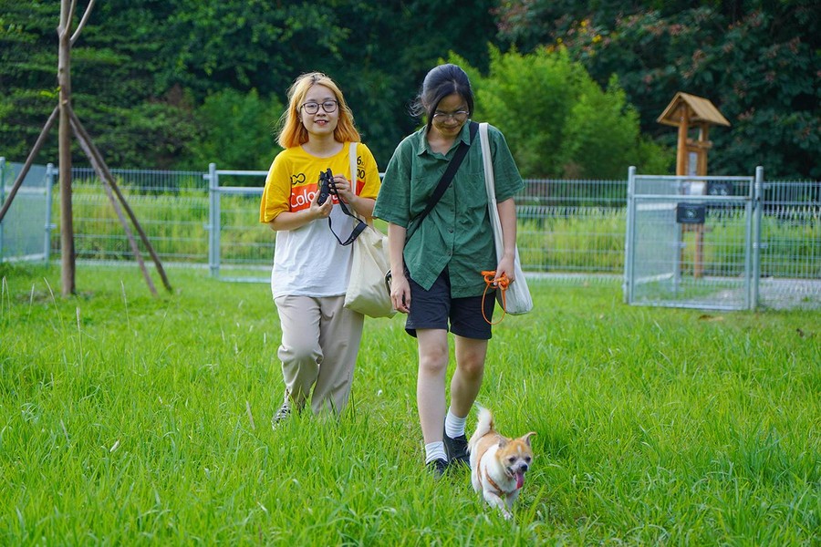 Cận cảnh công viên dành cho thú cưng tại Hà Nội