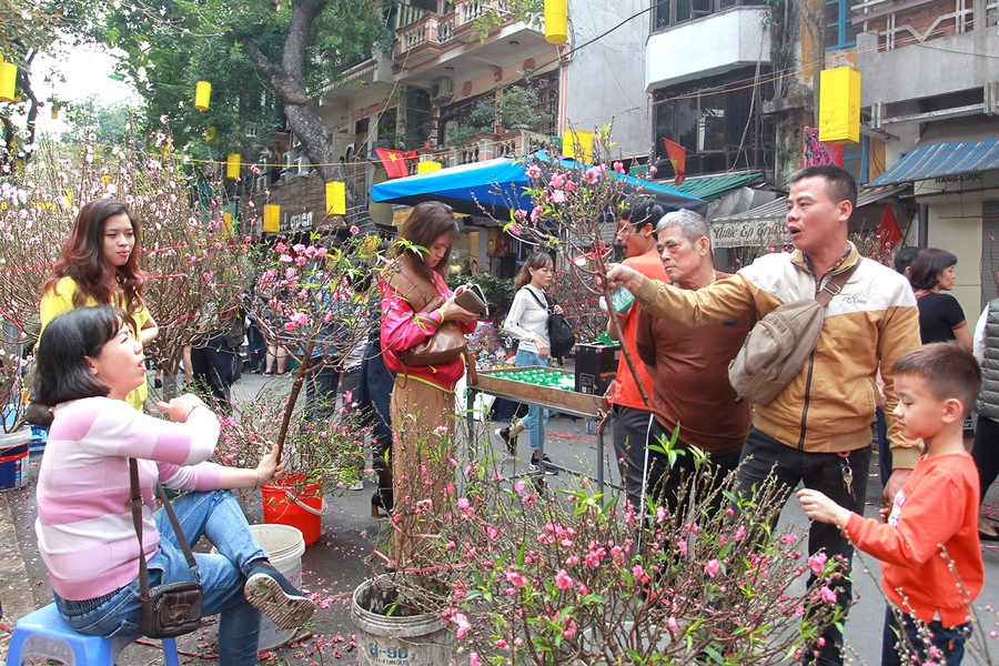 Ngắm chợ hoa tết phố Hàng Lược những ngày cuối năm