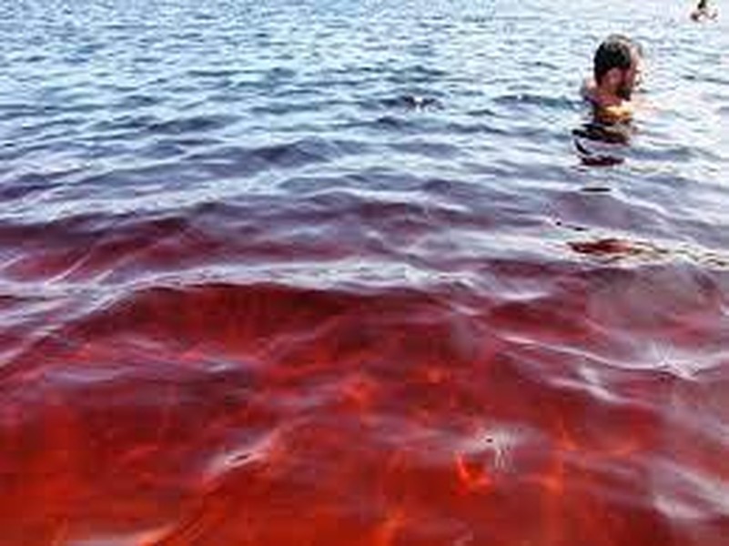 [ẢNH] Kỳ lạ hồ nước có màu Coca Cola ở Brazil
