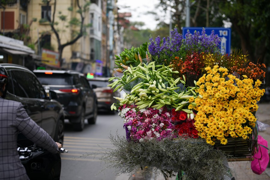 Khúc giao mùa đẹp tinh khôi khi hoa loa kèn xuống phố Hà Thành