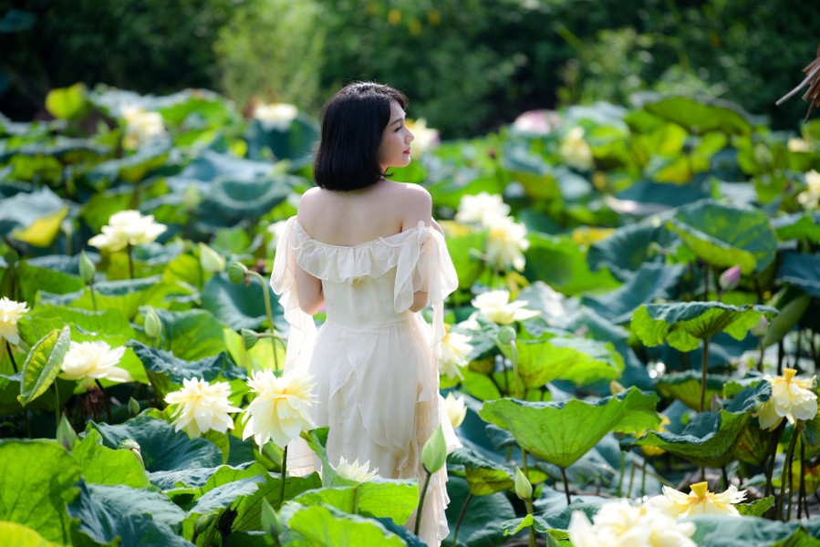 Ngỡ ngàng vẻ đẹp như tranh của thiếu nữ Hà Thành bên đầm sen độc đáo ở Thanh Oai