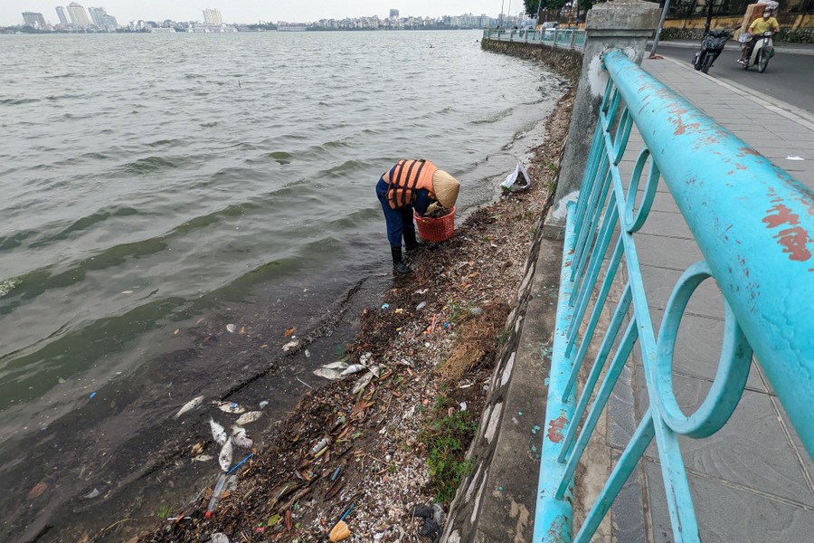 Cận cảnh hồ Tây sau khi lãnh đạo thành phố chỉ đạo nóng xử lý tình trạng cá chết hàng loạt