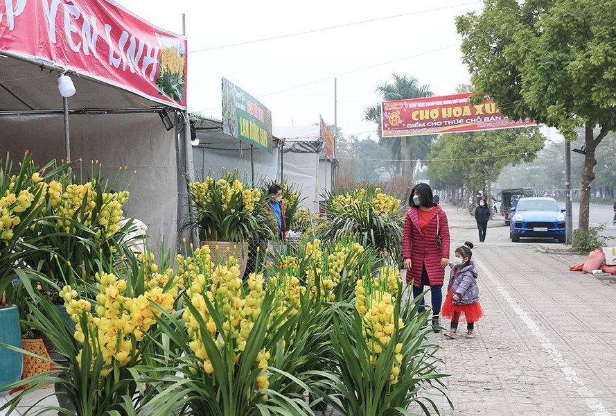 Sắc xuân ngập tràn trên đường phố Hà Nội