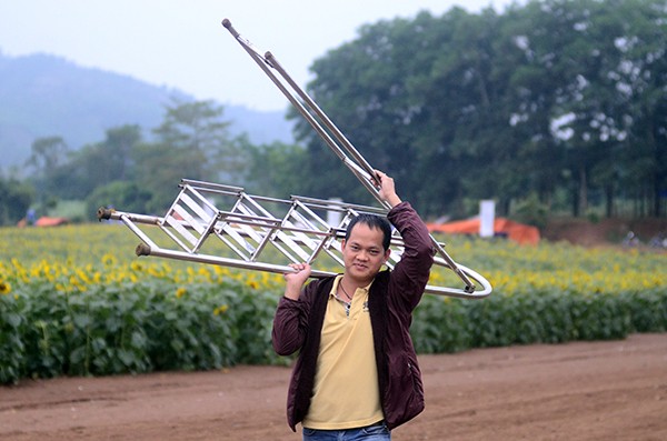 Đắm chìm trong vẻ đẹp của cánh đồng hoa mặt trời Nghệ An ảnh 6
